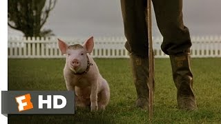 Thatll Do Pig  Babe 99 Movie CLIP 1995 HD [upl. by Ingles]