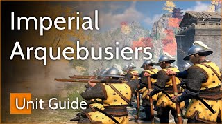 BIG DAMAGE  Imperial Arquebusiers Guide  Conquerors Blade [upl. by Irmina]