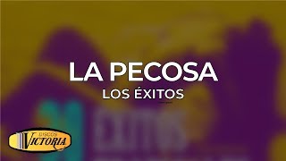 Los Éxitos  La Pecosa [upl. by Aleedis545]