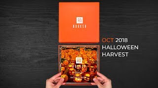 Bokksu Unboxed Halloween Harvest October 18 [upl. by Notpmah985]