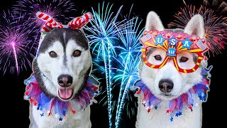 How To Keep Your Dog Calm During Fireworks 🎆 Pets and Fireworks [upl. by Melbourne]