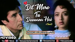 Dil Mere Tu Deewana HaiSad  Amitabh Bachchan amp Soundarya  Sooryavansham  Ishtar Music [upl. by Low985]