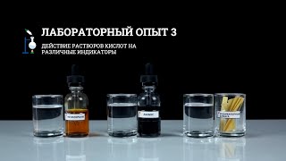 Лабораторный опыт 3 Действие кислот на индикаторы  Курс химии  7 класс [upl. by Yusuk]