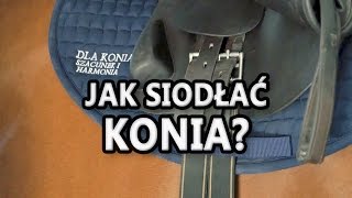 Jak siodłać konia Początki jazdy konnej [upl. by Akkinahs]