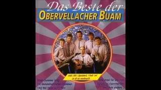 Obervellacher Buam  Zurück ins Kärntnerland  1992 [upl. by Thrift]