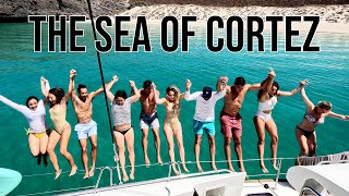 Sailing the Sea of Cortez [upl. by Rooke985]