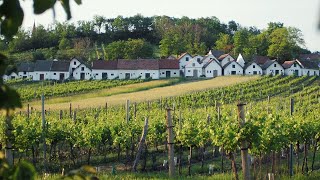 Das Weinviertel entdecken Genussvolle Kurzurlaube amp spannende Ausflüge erleben [upl. by Dlanod]