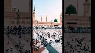 Naat e Rasool Allah [upl. by Hui]