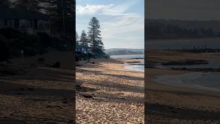 Collaroy Beach Sydney Australia youtubeshorts beach seaside sydney [upl. by Nosimaj]