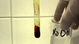 Fluorescein synthesis [upl. by Innis]