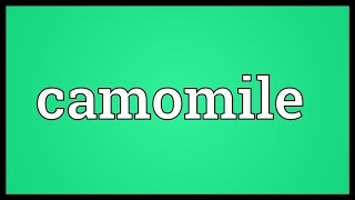 Camomile Meaning [upl. by Andrey]