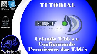 Tutorial  TeamSpeak 3 Criando Tags e Permissões 2 [upl. by Fagen]