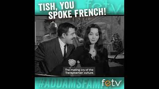 quotTish You Spoke Frenchquot  The Addams Family [upl. by Halivah927]