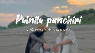 Palnila punchiri slowed reverb  Palnila punchiri  Malayalam song slowed reverb  Musikova💗 [upl. by Graehme]