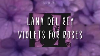 Lana Del Rey  Violets For Roses Lyrics Español  Ingles [upl. by Suckram]