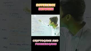 DIFFERENCE BETWEEN CRYPTOGAMS AND PHANEROGAMS [upl. by Dream]