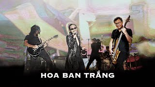 Bức Tường  HOA BAN TRẮNG  Liveshow Trở Về [upl. by Berke]