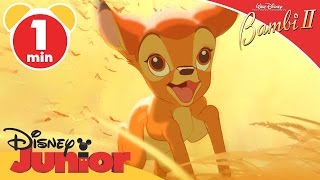 Bambi II  The Dream  Disney Junior UK [upl. by Novonod]