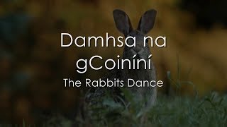 Damhsa na gCoiníní  LYRICS  Translation [upl. by Krista63]