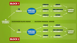 Types of Experimental Designs 33 [upl. by Declan]