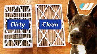 How to Change Your Furnace Filter Trane Furnace [upl. by Ardnuasal96]