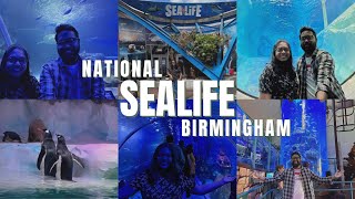 Sea Life Centre Birmingham  Full Tour  Year 2023 [upl. by Ybocaj636]