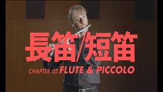 長笛短笛介紹 Flute amp Piccolo [upl. by Treat]