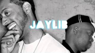 JAYLIB  J DILLA amp MADLIB  CHAMPION SOUND [upl. by Kenleigh]