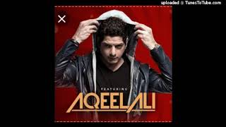 Koi Yahan Aha Nache Nache  Dj Aqeel [upl. by Ardin]