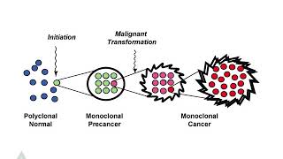 Multistep carcinogenesis [upl. by Elletnwahs]