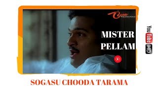 Mr Pellam Songs  Sogasu Chooda Taram  Rajendra Prasad  Aamani [upl. by Lim]