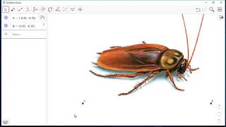 Moving object in GeoGebra How to create animated object in GeoGebra [upl. by Vigen938]