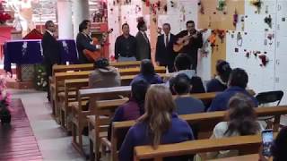 Rondalla de La Universidad de Guanajuato quotA donde irán las almasquot [upl. by Ruiz337]