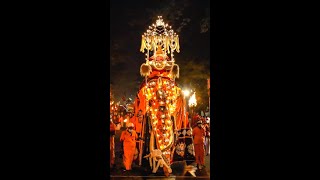 Kandy Esala Perahera 2021  5th Kumbal Perahera [upl. by Hannahsohs535]