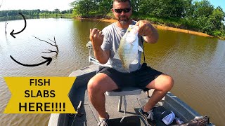 How to catch CRAPPIE in Lake Okeechobee [upl. by Jacinto]