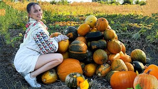 Quiet Countryside Life Harvesting and Cooking Delicious Pumpkin Porridge [upl. by Urban]