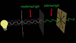 Polarization  Polarizer  Explained and animated 3d [upl. by Otis193]