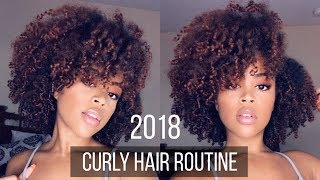 Curly Hair Routine  Healthy Defined 3c4a Curls [upl. by Ahseinek]