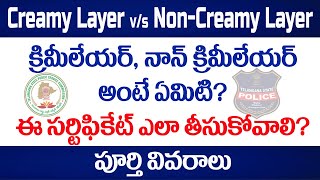 How to apply for Creamy Layer noncreamy layer certificate for BC Candidates in Telangana in telugu [upl. by Alidus]