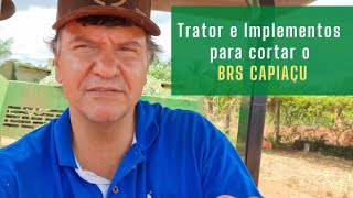 Trator e implementos necessários para cortar o Brs Capiaçu [upl. by Alard481]