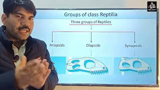 Lec3 Groups of Reptiles Zoology Miller Harley ADS BS BSc Urdu Hindi [upl. by Enrol]