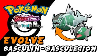 Pokemon Scarlet amp Violet The Teal Mask DLC  How To Evolve Basculin Into Basculegion [upl. by Yerroc]