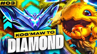 KogMaw Unranked to Diamond 3  KogMaw ADC Gameplay Guide  Season 13 KogMaw Gameplay [upl. by Ycaj]