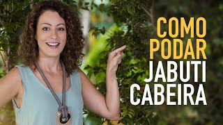 Como PODAR JABUTICABEIRA pra ENCHER de FRUTAS [upl. by Brentt621]