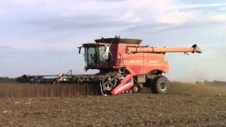 Case IH 9230 AxialFlow On Tracks Harvesting Soybeans [upl. by Klug]