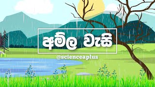 අම්ල වැසි ගැන දැනගනිමු  Acid Rain Causes and Effects [upl. by Itnaihc]