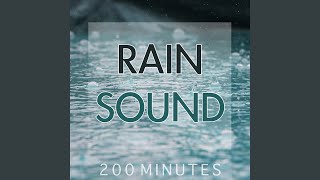 Rain Sound Pure White Noise for Natural Deep Sleep Inducing [upl. by Arretahs]