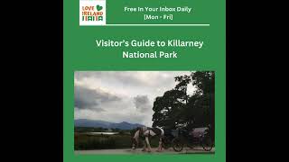 Visitor’s Guide to Killarney National Park [upl. by Khichabia]