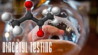 Diacetyl testing in beer Homebrew Wednesday 94 [upl. by Lach]