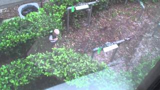 Kid throws a rock in a neighbors window and breaks it [upl. by Sivram497]